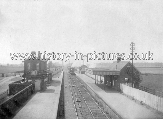 The Station, Alresford, Essex. c.1908